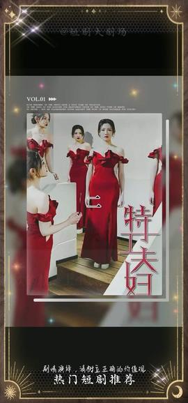 特工夫妇 全集(大结局)