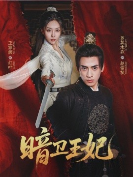 暗卫王妃(全集)
