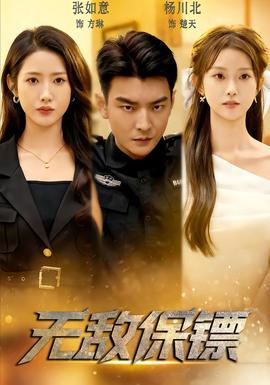 无敌保镖(全集)